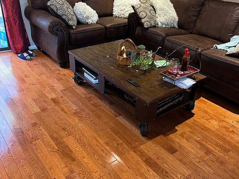 2 Tulip Ct — Photo 9