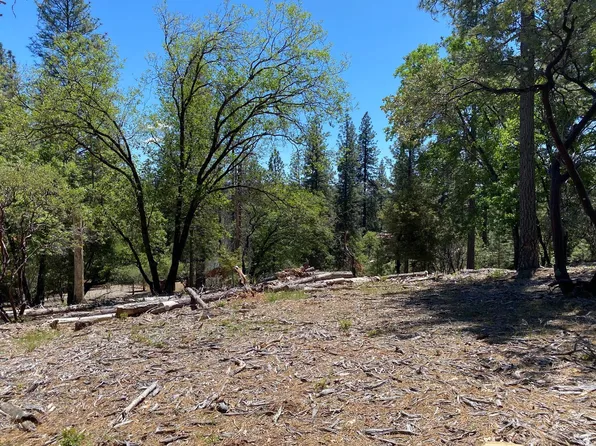 Meadowlark Way, Placerville, CA 95667