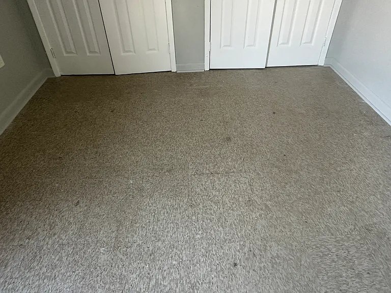 1401 Flanders St #6 — Photo 7