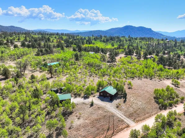 1319 Kiowa Street, Fairplay, CO 80456