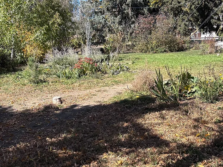11065 Pinyon Dr — Photo 21