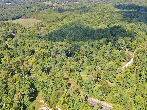 Grave Hill Stan Reed Rd, Oneida, TN 37841