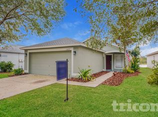 11217 Summer Star Dr, Riverview, FL 33579