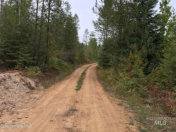 4th image of PARCEL Three Nna Talking Bear Dr