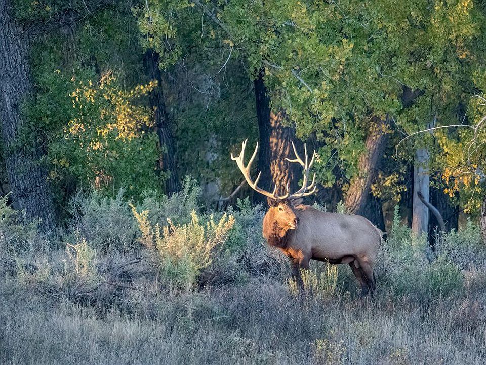 1st image of 35322 Washoe Rd