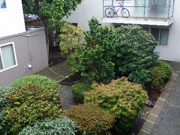 5th image of 12301 33rd Ave NE APT 208