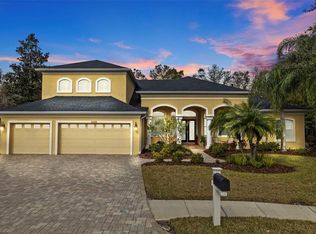 7153 Woods Bay Ct, Land O Lakes, FL 34637