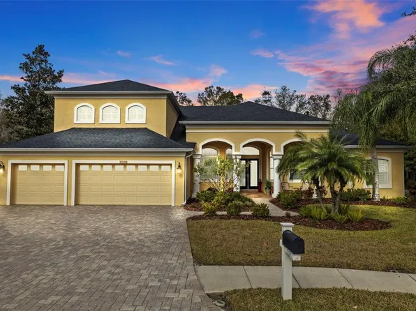 7153 Woods Bay Ct, Land O Lakes, FL 34637