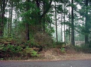 2nd image of 1607 197th Avenue Kp S #Xx