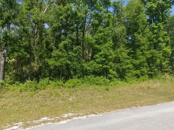 540 NE 558th St #43, Old Town, FL 32680