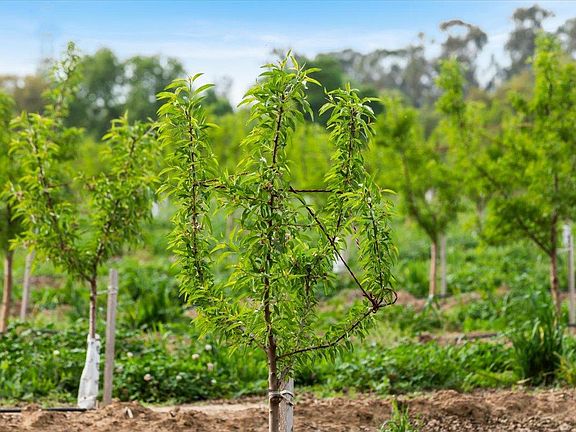 4th image of Albers Rd