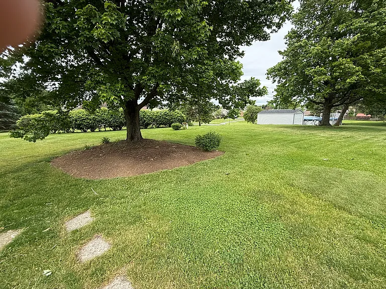 468 S Farmersville Rd — Photo 23