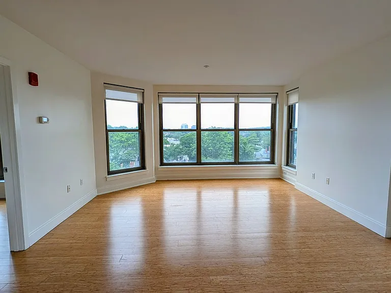 90 Malvern St #Penthouse 604 — Photo 8