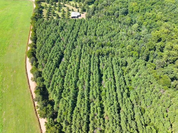 Crow Rd, Horatio, AR 71842