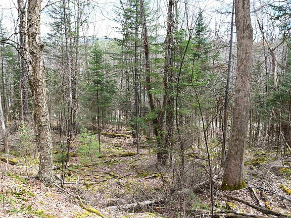 3rd image of Lot 177 Belknap Drive #177