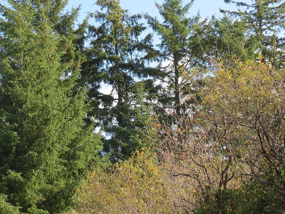 1st image of 562 Kahkwo Ct SE
