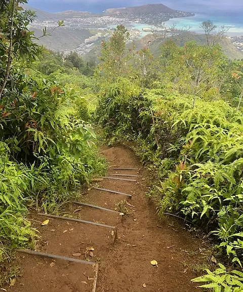 Hiking at Kuliouou Ridge trail is only 12 minutes away!