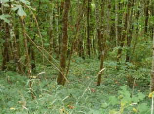 1 Merwin Village Ct, Woodland, WA 98674