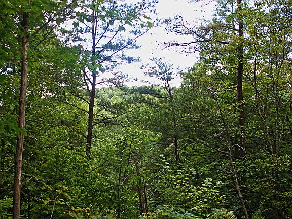 4th image of Lot 69 Vista View Pkwy Lot 69