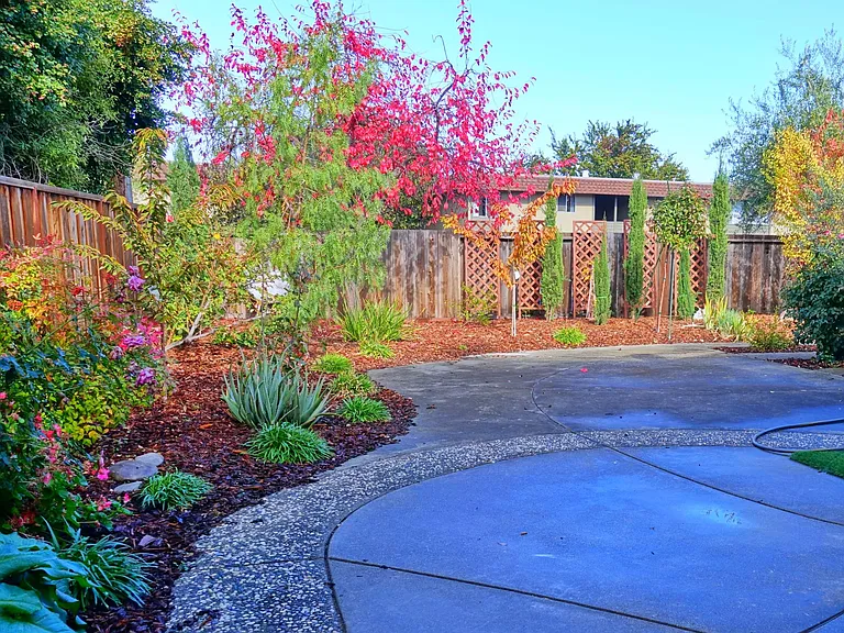 Backyard patio with serene landscaping.