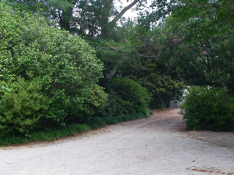 Driveway.