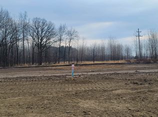 13204 Championship Dr, Linden, MI 48451