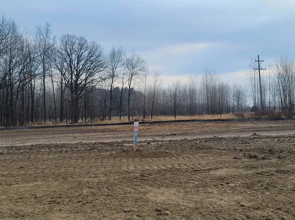 13204 Championship Dr, Linden, MI 48451