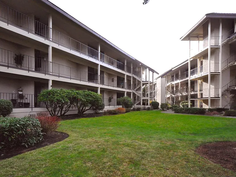 Common Lawn Area