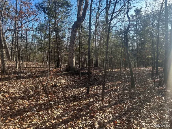 306 Madison St #410, Fredericktown, MO 63645