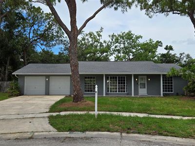 8328 W Pocahontas Ave, Tampa, FL, 33615