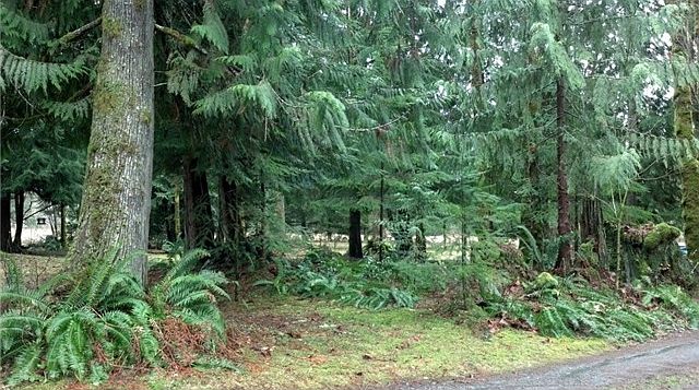 2nd image of 54434 Elder Ln