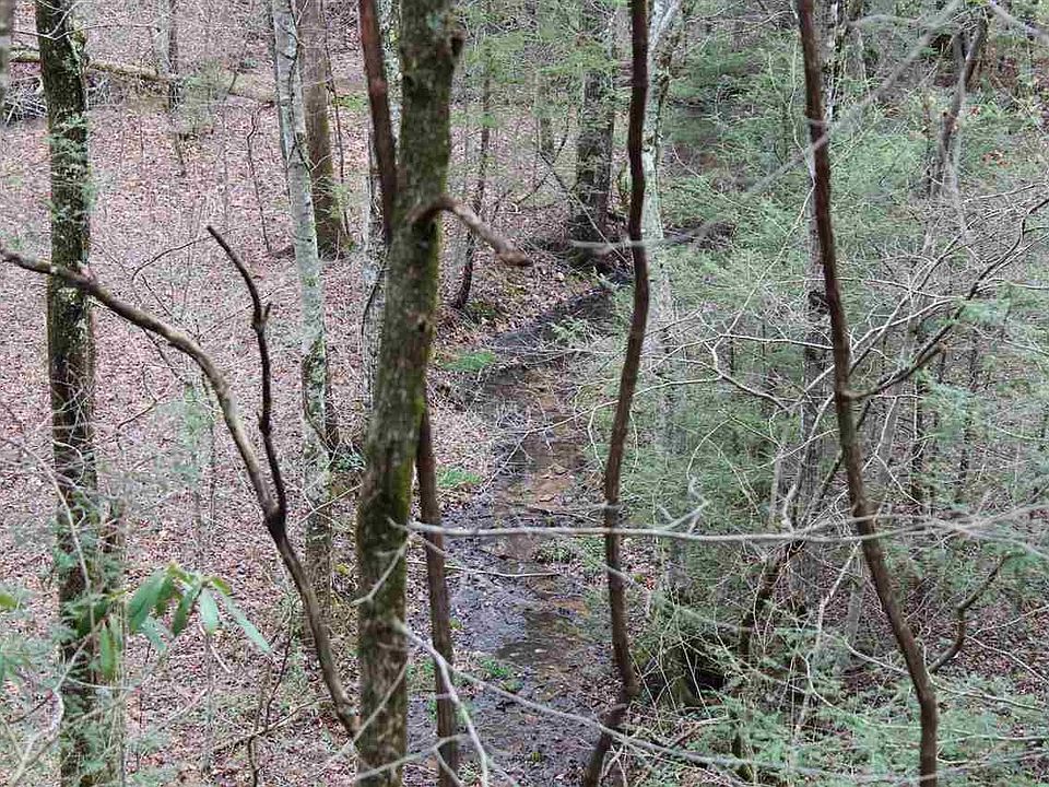 1st image of 42 S Clear Fork Rd Lot 4B-3