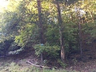 2nd image of 0 Mansford Rd