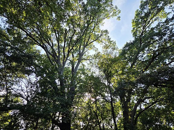 2nd image of 347 Copper Branch Rd