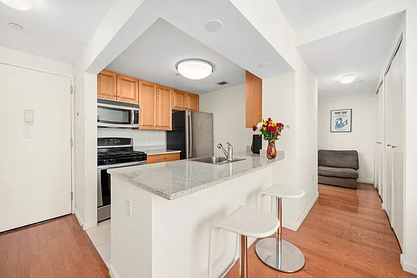 Rented by Douglas Elliman | media 17