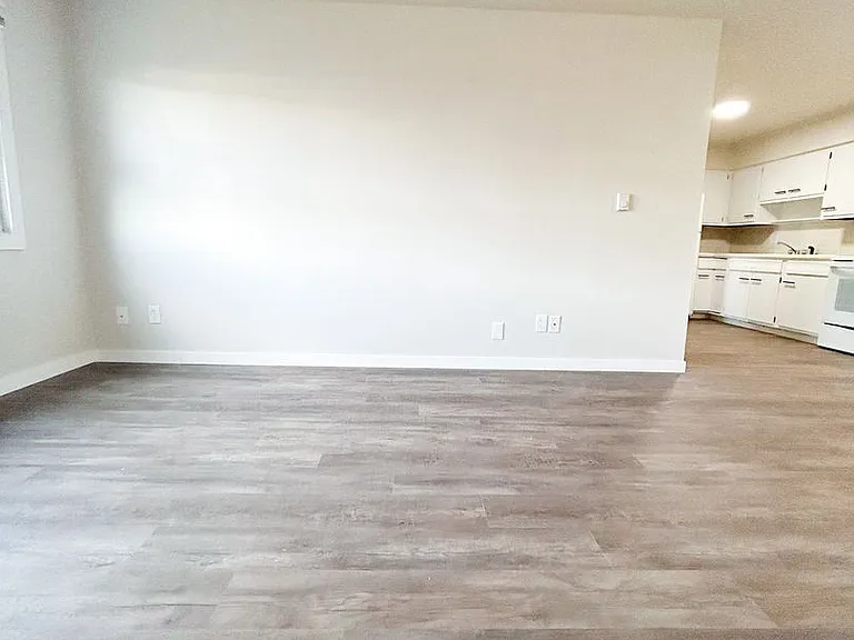 141 Bader St — Photo 5
