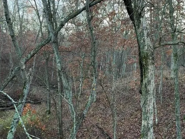 Fords Creek Rd, Woodville, MS 39669