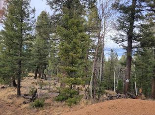 180 Sentinel Way, Florissant, CO 80816