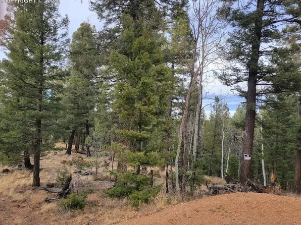 180 Sentinel Way, Florissant, CO 80816