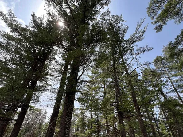 Camp House Rd, Brimson, MN 55602