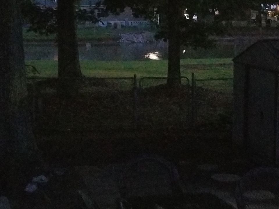 Back yard. Fully stocked pond