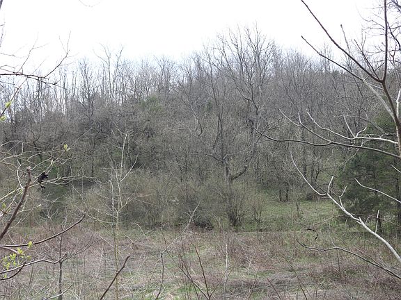 3rd image of 1475 Saltwell Headquarters Rd