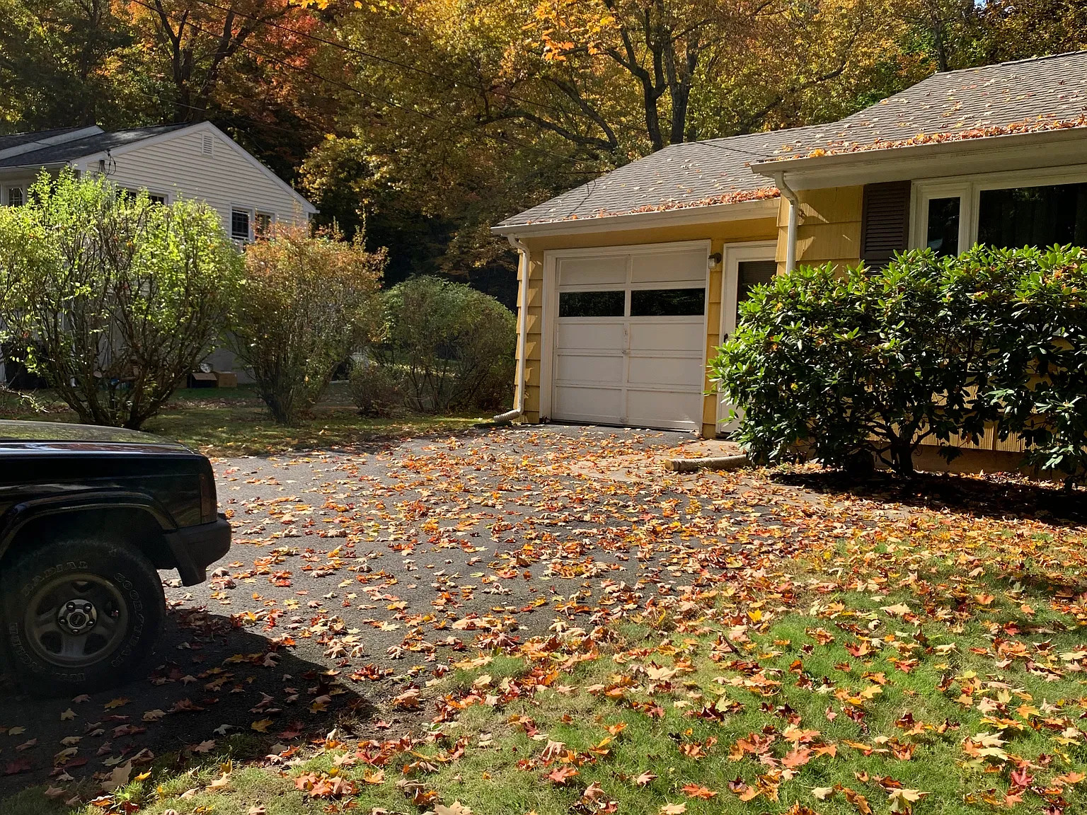 3 bed, 1200 sqft, $2,400 — Photo 4
