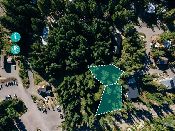2423 XX Cedar Lane, Snoqualmie Pass, WA 98068