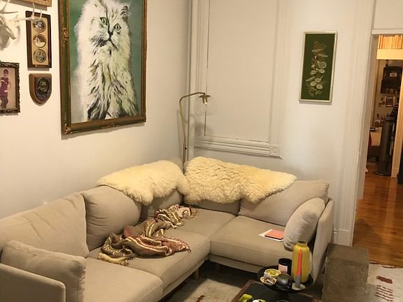 5th image of 268 Nassau Ave APT 3R