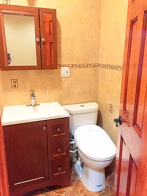 Rented by Rapid Realty Cobble Hill | media 86