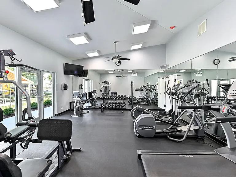Free Weights and Exercise Machines