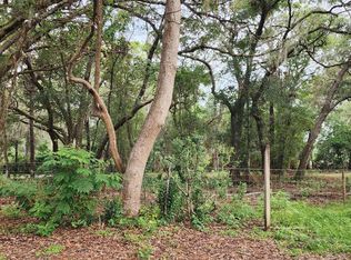 711 Sunset Ave, Orange City, FL 32763