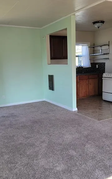 1105 Pitt Ave — Photo 19