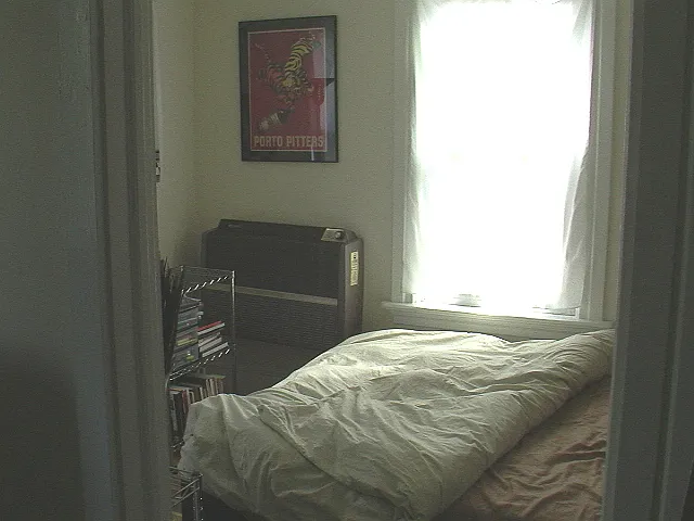 2 bed, 800 sqft, $1,545 — Photo 3